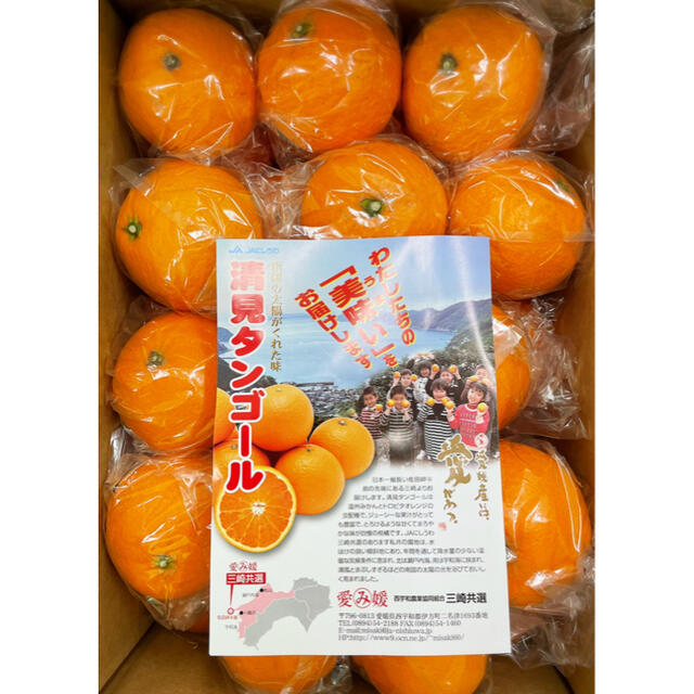 最終入荷！味本位木成り栽培【清美タンゴール】赤秀 L 5kg ※味センサー選別済 食品/飲料/酒の食品(フルーツ)の商品写真