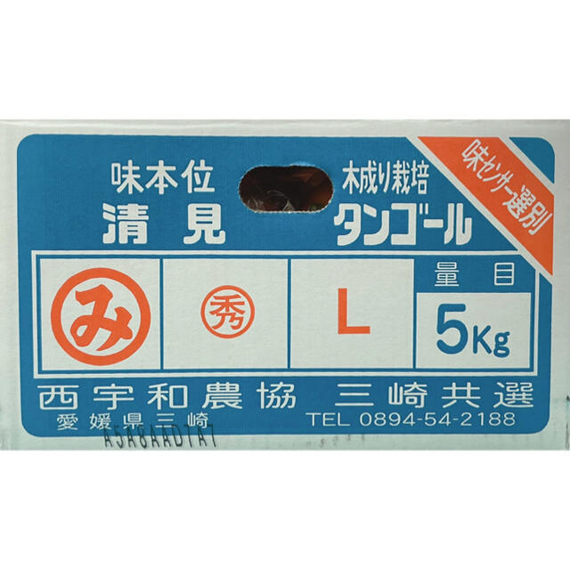 最終入荷！味本位木成り栽培【清美タンゴール】赤秀 L 5kg ※味センサー選別済 食品/飲料/酒の食品(フルーツ)の商品写真