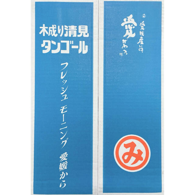 最終入荷！味本位木成り栽培【清美タンゴール】赤秀 L 5kg ※味センサー選別済 食品/飲料/酒の食品(フルーツ)の商品写真