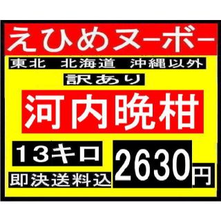 B6 えひめヌーボー　訳あり　河内晩柑　13キロ(フルーツ)