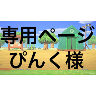 ニンテンドースイッチ(Nintendo Switch)の【ぴんく様専用ページ】(カード)