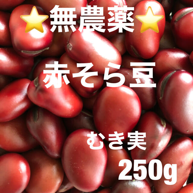 ⭐️無農薬⭐️赤そら豆250g 食品/飲料/酒の食品(野菜)の商品写真