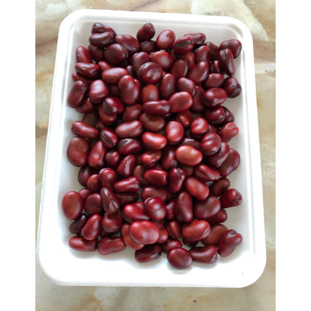 ⭐️無農薬⭐️赤そら豆250g 食品/飲料/酒の食品(野菜)の商品写真