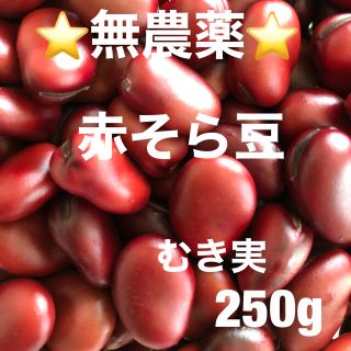 ⭐️無農薬⭐️赤そら豆250g(野菜)