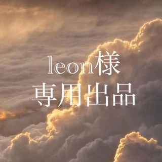 leon様 専用出品(ネックレス)