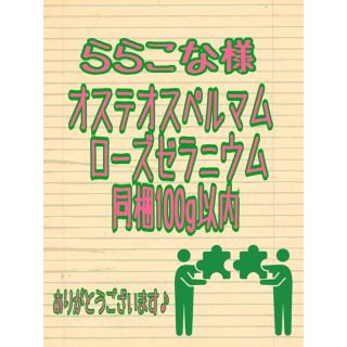 ららこな様オステオスペルマム　ローズゼラニウムカット苗　梱包材含め100g以内(その他)