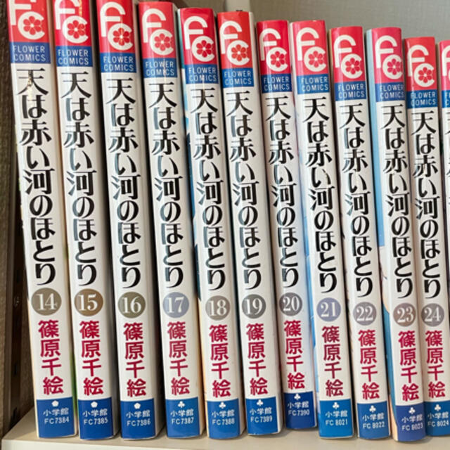 小学館(ショウガクカン)の天は赤い河のほとり　全巻　28巻セット エンタメ/ホビーの漫画(全巻セット)の商品写真