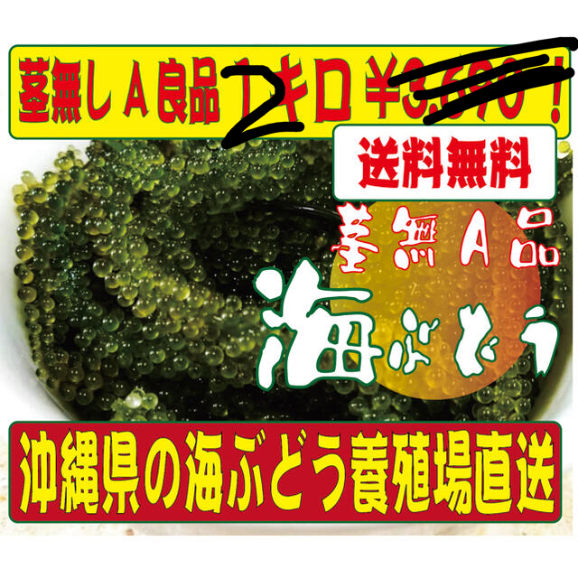 沖縄直送 海ぶどう 2キロ　茎無し　A良品　送料無料！