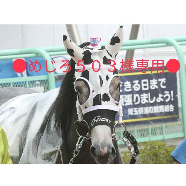 ●ミライヘノツバサです● スポーツ/アウトドアのスポーツ/アウトドア その他(その他)の商品写真