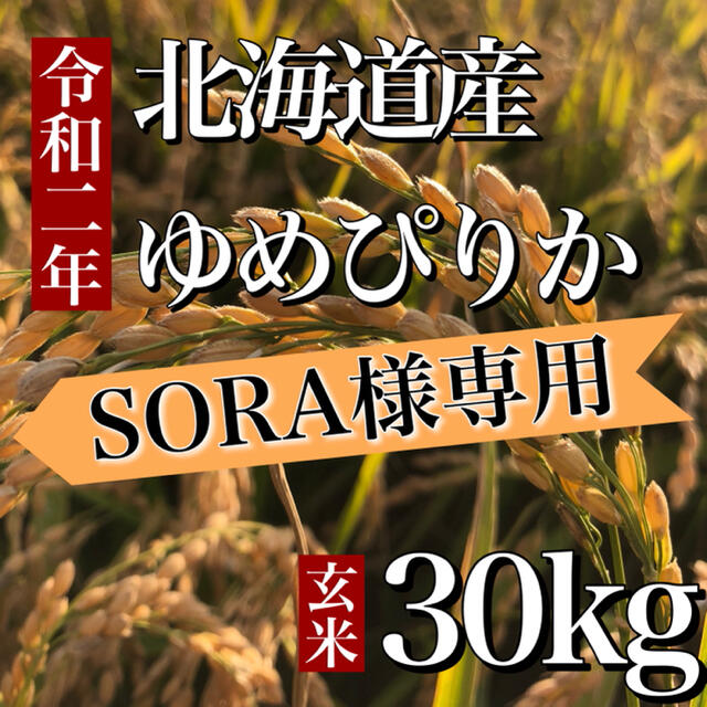 ☆SORA様☆専用 北海道産ゆめぴりか 30kg 食品/飲料/酒 米/穀物 (本日