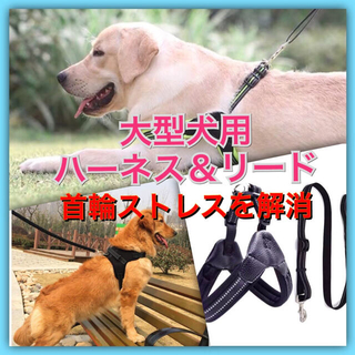 【２点セット】Ｌ大型犬用高級タイプハーネス＆リード胸囲：61-75 橙色(リード/首輪)