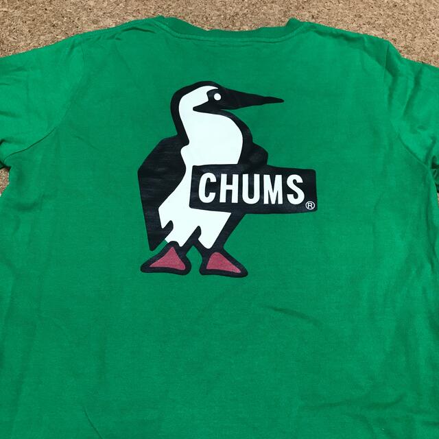 CHUMS(チャムス)のチャムス　Tシャツ　レディース　美品 レディースのトップス(Tシャツ(半袖/袖なし))の商品写真