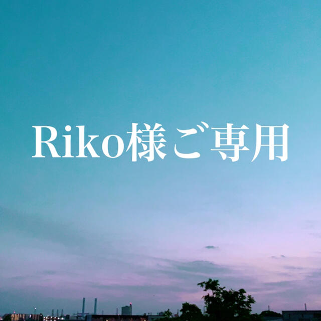 Riko様ご専用 その他のその他(その他)の商品写真