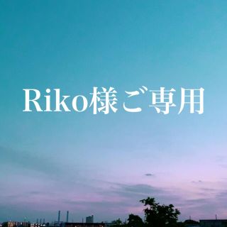 Riko様ご専用(その他)