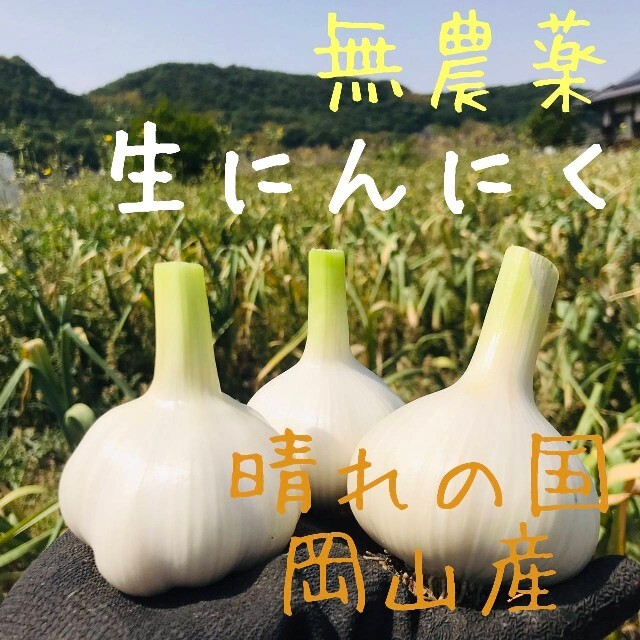 【無農薬】生ニンニク1kg「倉敷ホワイト」岡山県産にんにく サイズ混合 新鮮野菜 食品/飲料/酒の食品(野菜)の商品写真