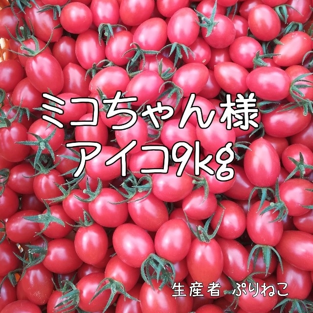 ミコちゃん様 アイコ9kg ミニトマト 食品/飲料/酒の食品(野菜)の商品写真