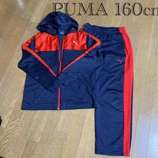 プーマ(PUMA)のプーマ ジャージ上下　160cm(その他)