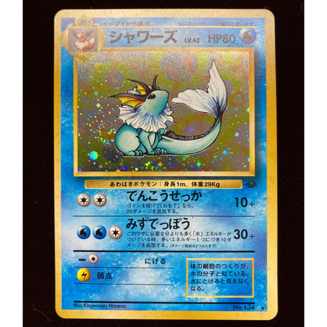 ポケモン - ポケモンカード 旧裏 美品シャワーズ LV.42 No.134の通販 ...