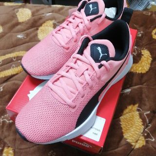 プーマ(PUMA)のPUMA　Runner　Jr.　22.0(スニーカー)