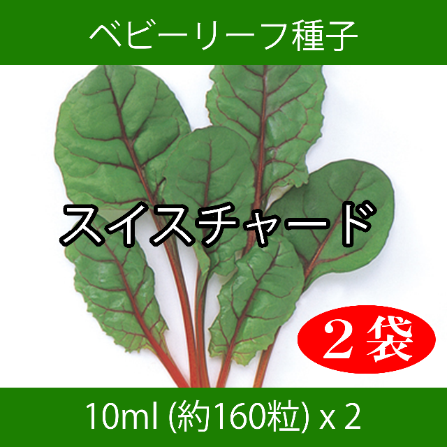 ベビーリーフ種子 B-43 スイスチャード 10ml 約160粒 x 2袋 食品/飲料/酒の食品(野菜)の商品写真