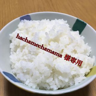 hachamechamama 様専用米30kgきぬむすめ(米/穀物)