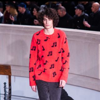 ポールスミス(Paul Smith)のポールスミス　メインライン　ニット　パリコレ(ニット/セーター)