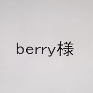 メゾピアノジュニア(mezzo piano junior)のberry様専用 おまとめページ(Tシャツ/カットソー)