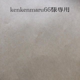 kenkenmaru66様専用(その他)