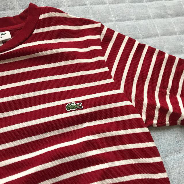 LACOSTE(ラコステ)のLACOSTEボーダーT 赤／白 メンズのトップス(Tシャツ/カットソー(半袖/袖なし))の商品写真