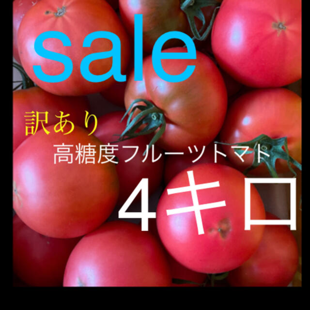 高糖度訳ありフルーツトマト４キロ 食品/飲料/酒の食品(野菜)の商品写真