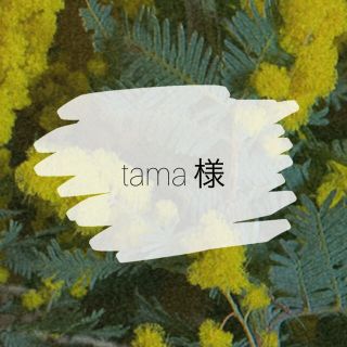 tama様♡⃛︎専用(ピアス)