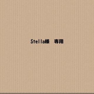 Stella様　専用　ダストボックス、ランチバッグ、スプレーケース(弁当用品)