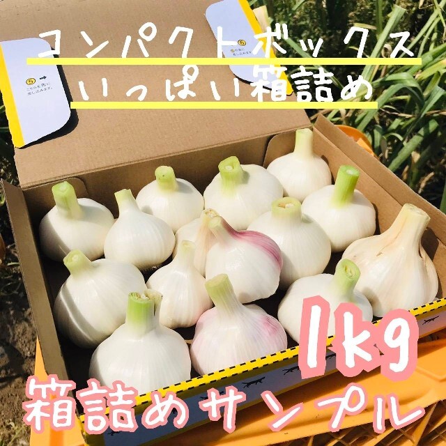 【無農薬】生ニンニク1kg「倉敷ホワイト」岡山県産にんにく サイズ混合 新鮮野菜 食品/飲料/酒の食品(野菜)の商品写真