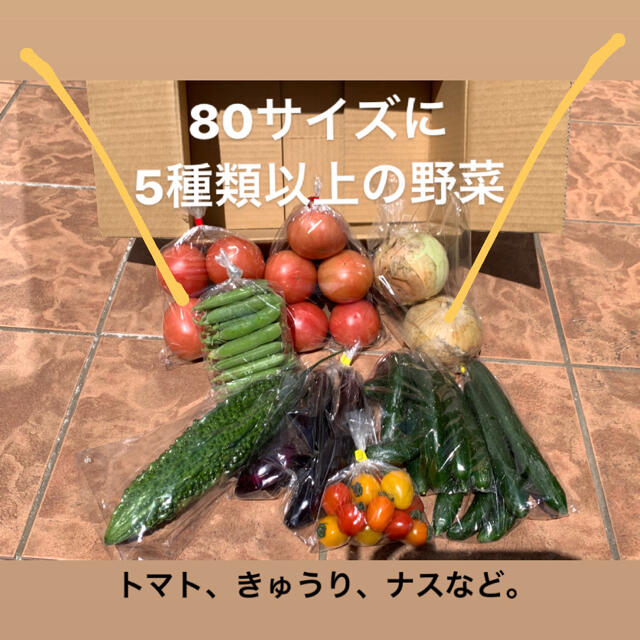 値下げ！おまかせ！野菜詰め合わせセット 食品/飲料/酒の食品(野菜)の商品写真