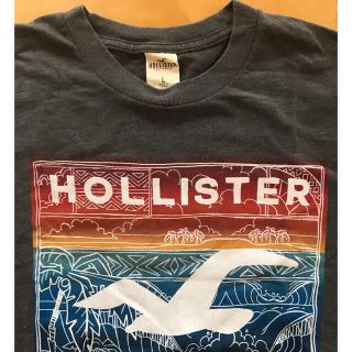 ホリスター(Hollister)のホリスター＊Tシャツ＊グレー＊サイズL(Tシャツ/カットソー(半袖/袖なし))