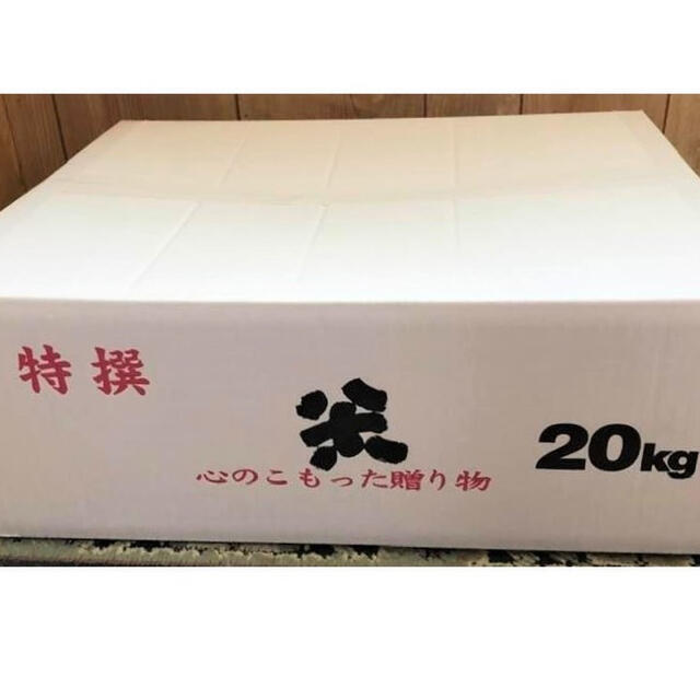 玄米20kg【完全自然栽培の美味しいお米！】令和2年度佐賀県産！「伊勢