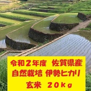 玄米20kg【完全自然栽培の美味しいお米！】令和2年度佐賀県産！「伊勢ヒカリ」(米/穀物)