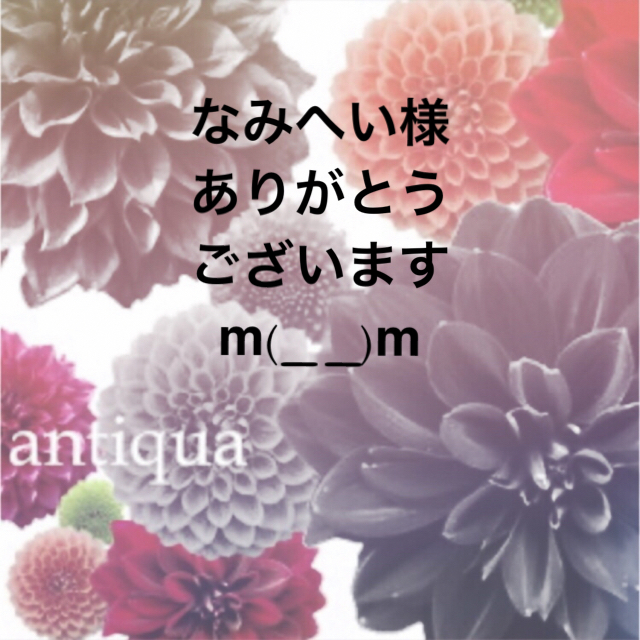 antiqua(アンティカ)のなみへい様ご専用になります。ありがとうございますm(_ _)m レディースのワンピース(ロングワンピース/マキシワンピース)の商品写真