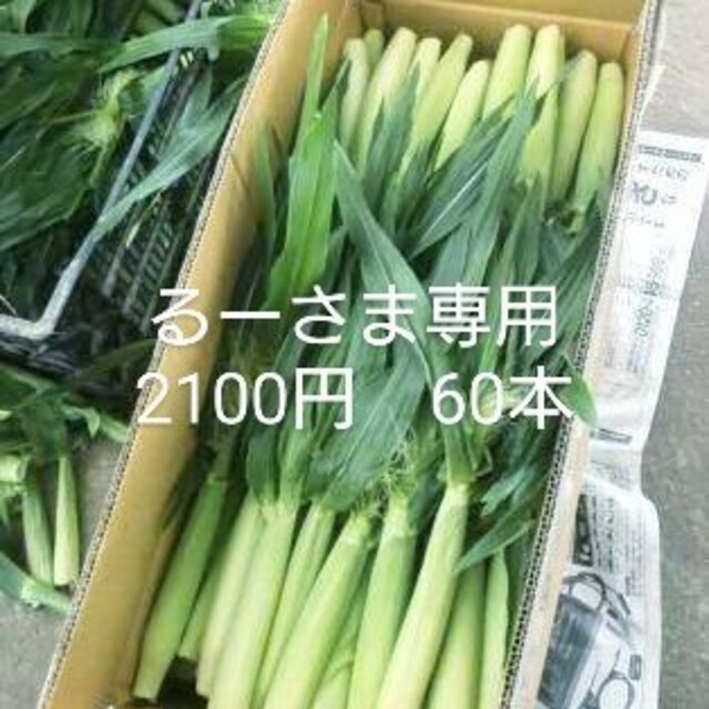 ヤングコーン朝採り発送🌽🌽 食品/飲料/酒の食品(野菜)の商品写真