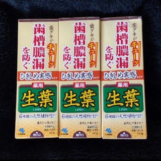 コバヤシセイヤク(小林製薬)の小林製薬 生葉 ひきしめ(歯磨き粉)