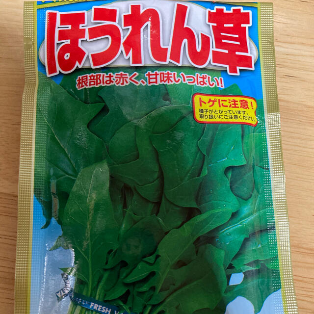 野菜　種　4種類セット　おまけ付　水耕栽培　家庭菜園 食品/飲料/酒の食品(野菜)の商品写真