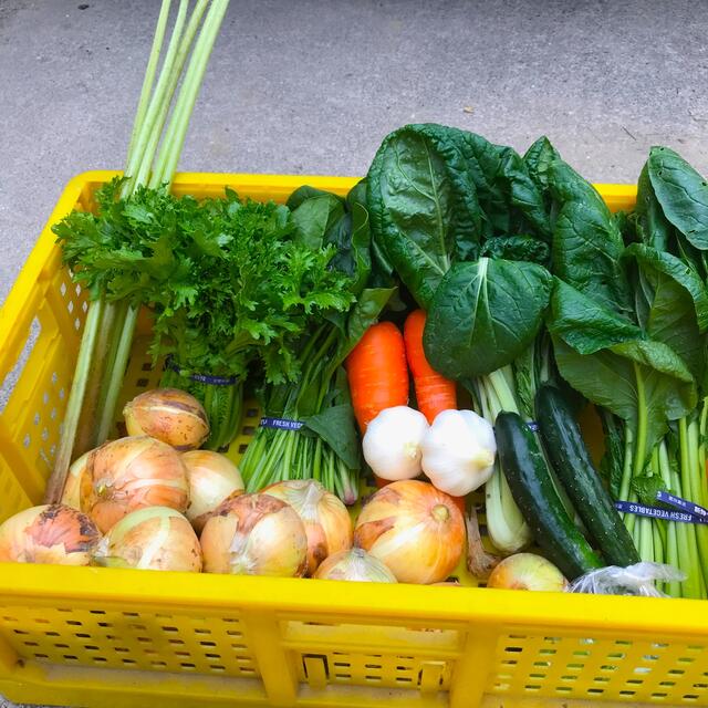 野菜詰め合わせ　オマケ付き 食品/飲料/酒の食品(野菜)の商品写真