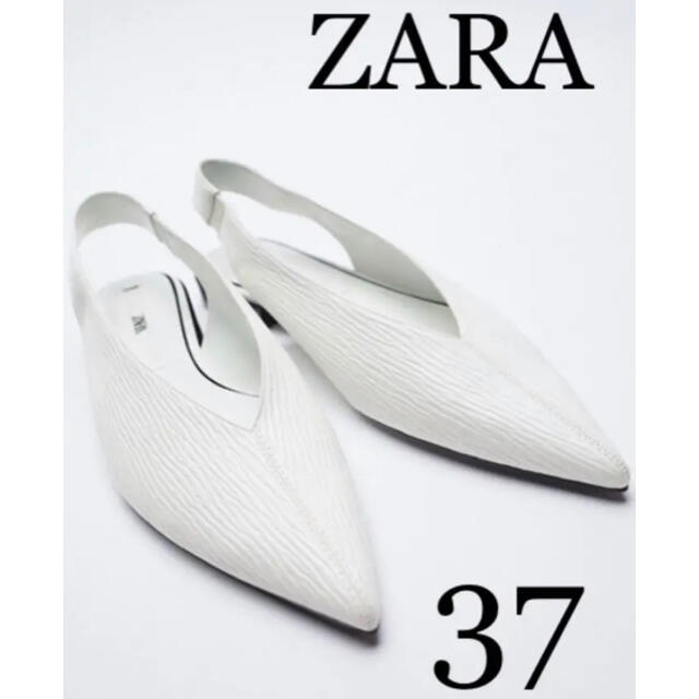 ZARA(ザラ)のZARAパンプス　新品未使用 レディースの靴/シューズ(ハイヒール/パンプス)の商品写真