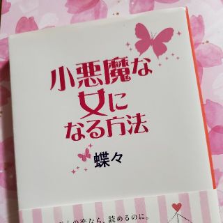 小悪魔な女になる方法(文学/小説)