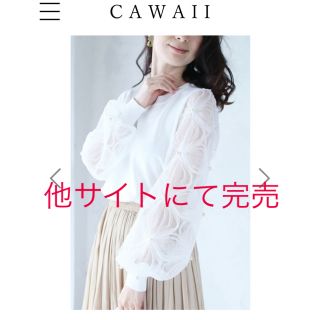 cawaii  完売品　美品　袖シフォンレース　パール付きニット/セーター