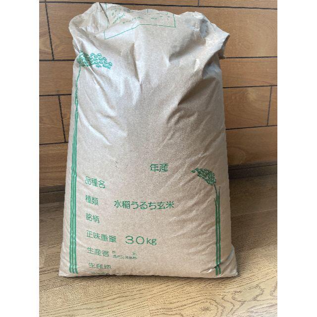 食品長野県産コシヒカリ30ｋｇ玄米（本州送料無料）令和元年秋収穫