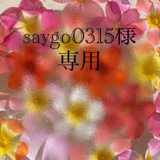 saygo0315様 専用 オキザリス球根(その他)