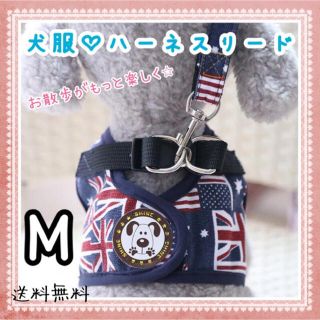 M 青　ブルー　犬服　ハーネス　リード付き　お散歩　便利　(リード/首輪)