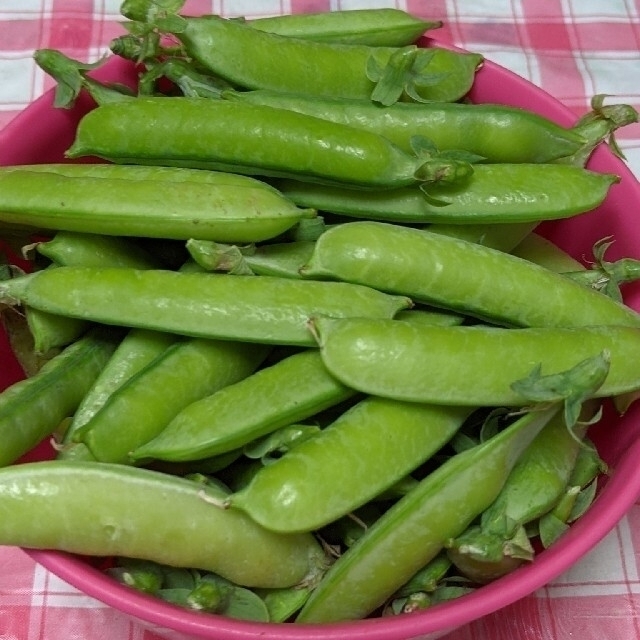 ①岡山県産  うすいえんどう  正味730グラム  ネコポス箱  無農薬栽培 食品/飲料/酒の食品(野菜)の商品写真