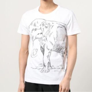 バナナリパブリック(Banana Republic)の★新品★バナナリパブリック プリントTシャツ ホワイト/M(Tシャツ/カットソー(半袖/袖なし))